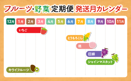 ☆先行予約☆2025年　配送地域限定　旬野菜　フルーツ　6回　定期便　【先行予約　先行　野菜　朝採れ　フルーツ　いちご　トウモロコシ　とうもろこし　ドルチェドリーム　桃　もも　巨峰　シャインマスカット