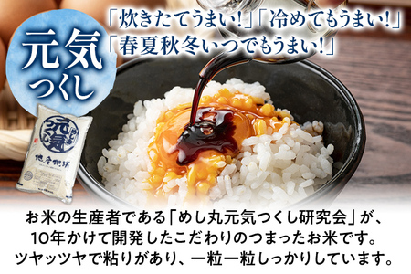 福岡の美味しいお米 夢つくし ＆ 元気つくし 合計5kg 各2.5kg 令和4年度産 福岡県産 白米 お米 ご飯 ごはん 米 精米 おこめ こめ 送料無料