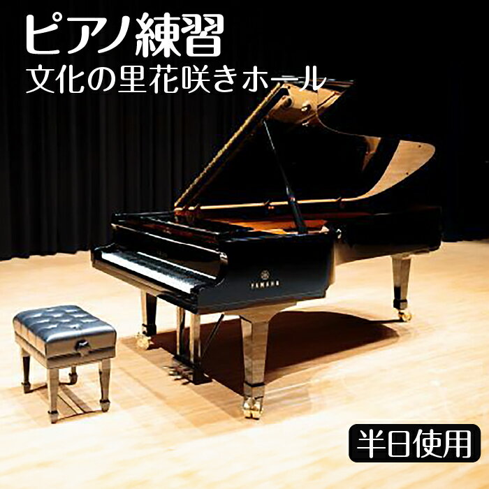 【ふるさと納税】ピアノ練習 文化の里花咲きホール半日使用 [No.394] ／ チケット ステージ 送料無料 岐阜県
