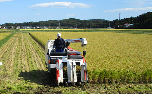相馬市産 コシヒカリ 精米 5kg  米 お米 ブランド米 銘柄米 備蓄 日本米 こしひかり コメ ごはん ご飯 食品 FAI-0059