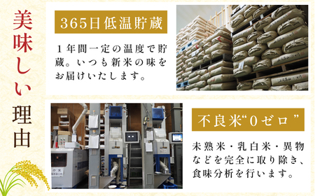 定期便 お米 特A 湧水米コシヒカリ【 5kg 3回 】定期便