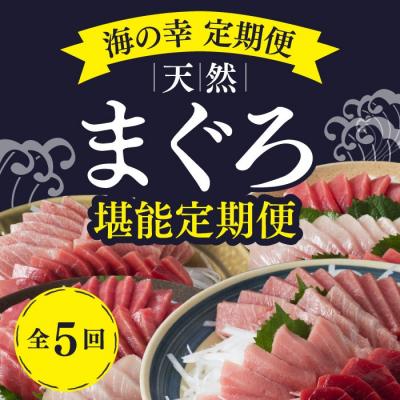 ふるさと納税 室戸市 【船元直送】厳選天然マグロ堪能定期便【全5回】