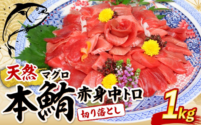 天然本マグロ ( 中トロ ・ 赤身 ) 切落とし 1kg (100g×10パック) マグロ 刺身  魚 惣菜 海鮮丼 魚介類 食べきりサイズ 小分け 冷凍 訳あり 不揃い 送料無料