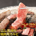 【ふるさと納税】くまもと黒毛和牛 黒樺牛 A4～A5等級 焼肉用カルビ 250g カルビ 焼き肉 和牛 お肉 牛肉 黒毛和牛 国産 九州産 熊本県産 冷凍 送料無料