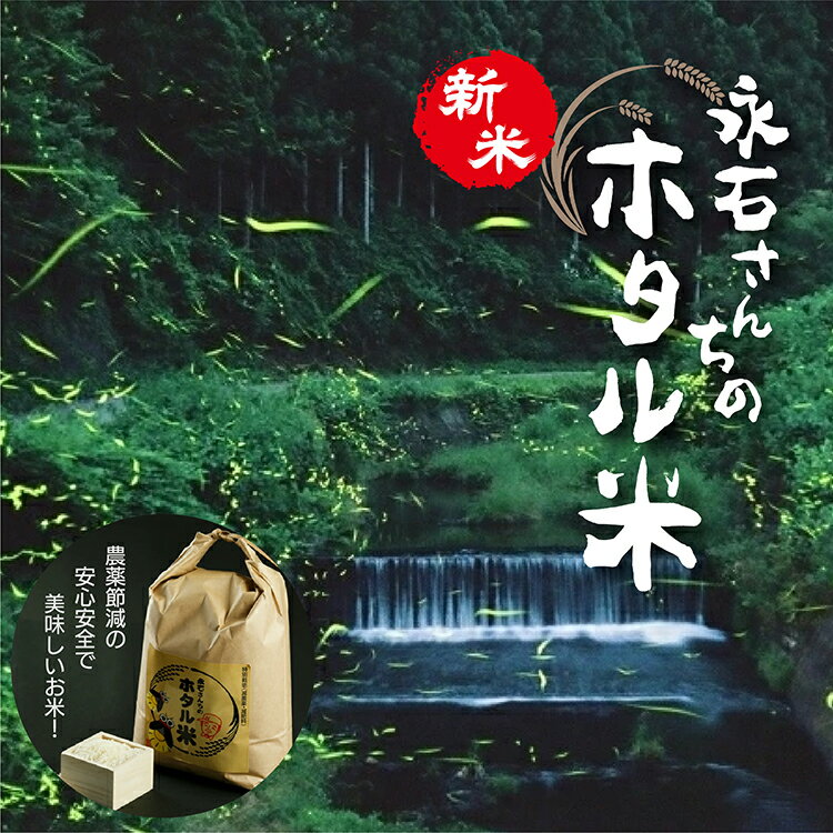 【ふるさと納税】【令和7年産 新米】 さがびより 10kg ( 5kg×2袋 ) | さがびより 永石さんちのホタル米 白米 お米 10kg 10キロ こめ コメ 米 ごはん _z-60