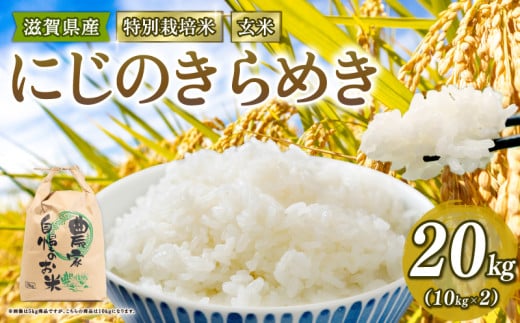 新米予約 特別栽培米 にじのきらめき 令和7年産 米 20kg 玄米 ニジノキラメキ 2025年産 国産 農家直送 環境こだわり お試し用 小分け お米 こめ おこめ 新米 先行予約 農家直送 産地直送 滋賀県 竜王町