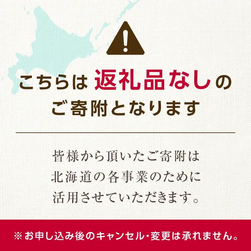 【ふるさと寄附金】北海道庁 100,000円 返礼品なしのご寄附 応援 エール 寄附のみ 返礼品なし 返礼品なしの寄附  F6S-683