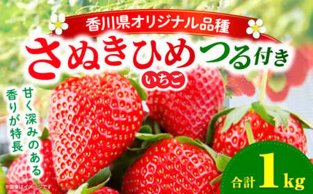 三木町地域いちご部会『さぬきひめ』　つる付き　1㎏_mk006-014