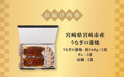 宮崎県宮崎市産　うなぎの蒲焼　約800g（約160g×5尾）タレ・山椒セット