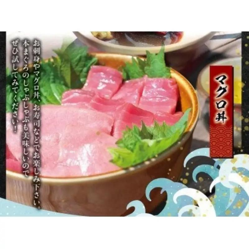 本マグロ（養殖）トロ＆赤身セット 500g 【年内発送（12/26～12/29発送）】高級 クロマグロ  中トロ 中とろ  まぐろ マグロ 鮪 刺身 赤身 柵 じゃばらまぐろ 本マグロ 本鮪【nks1