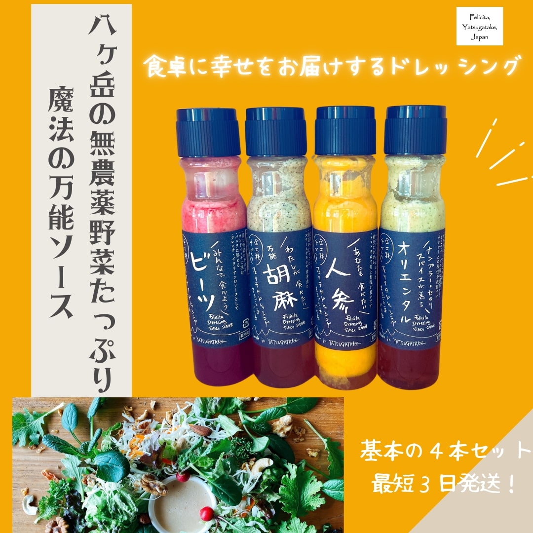 フェリチタドレッシング4本セット