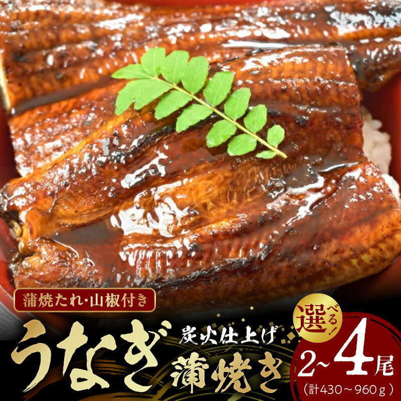 【ふるさと納税】うなぎ蒲焼き 選べる内容量 2尾 4尾 蒲焼たれ 山椒 一尾まるごと 鰻 ウナギ 炭火焼き 炭火の香り ふっくら 輸出基準合格 指定養殖場 三度焼き 焼きたての味 お取り寄せ グルメ 丑の日 土用 蒲焼き 関西風 冷凍 贈答用 ギフト用 和歌山県 湯浅町 送料無料