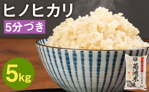 熊本県菊池産 ヒノヒカリ 5kg 5分づき米 お米 分づき米 令和4年産【30日以内に出荷予定（土日除く）】
