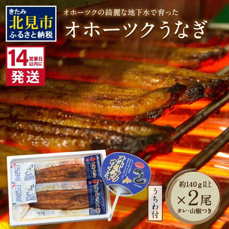 《14営業日以内に発送》オホーツクの綺麗な地下水で育った オホーツク うなぎ 2尾 ( 蒲焼 蒲焼き 丑の日 土用丑の日 )【160-0003】