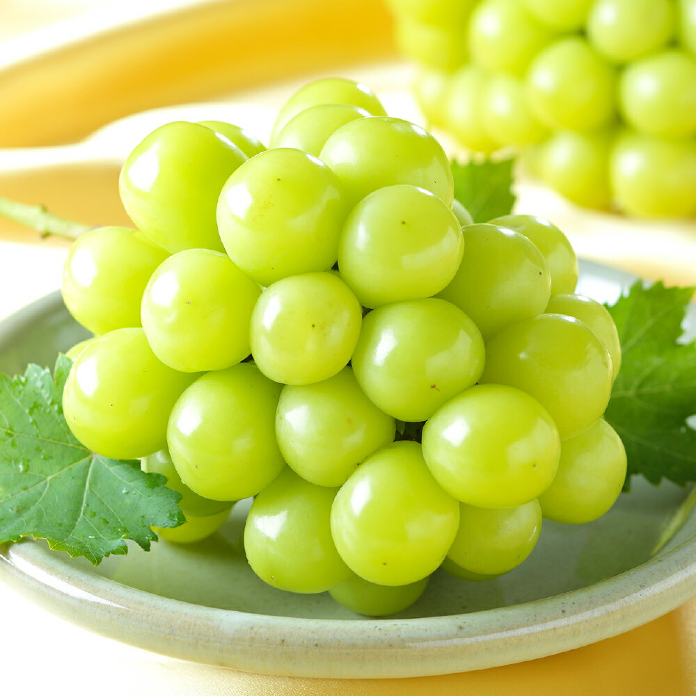 【ふるさと納税】＜選べる内容量＞シャインマスカット晴王 計約2kg（3～6房）・計約1kg（約500g×2房）・約600g×1房 種なし 皮ごと 大粒 ぶどう ブドウ 葡萄 くだもの 果物 果実 フルーツ 冷蔵 岡山県産 国産 送料無料 【2025年8月下旬～11月下旬迄順次発送予定】