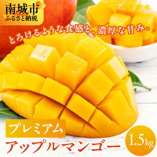 【先行予約】南城市観光協会が厳選！プレミアムアップルマンゴー1,5kg