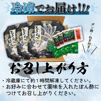 ふるさと納税 下関市 とらふぐ刺身セット (3人前) 冷凍 3皿 フグ刺し BV001 |  | 03