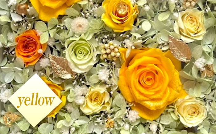 美しさ続く【貼の花箱】・イエロー　広島県福山市/花憐フラワースタジオ　ブリザードフラワー 枯れない 長持ち プレゼント 花 誕生日 お祝い 結婚祝い 出産祝い 記念日 [BABO003]