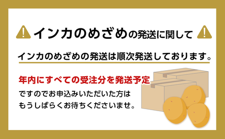 【 2024年 新じゃが 】インカのめざめ 混合 ２0kg いも 芋 じゃがいも ジャガイモ インカ 野菜 北海道 千歳