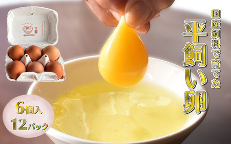 平飼い卵 6個入 12パック 新鮮たまご 産卵後2日以内に発送 養鶏場直送 新鮮 生卵 卵かけご飯 平飼い 赤玉 濃厚 鶏卵 栄養 甘み