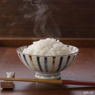 ふるさと納税 南あわじ市 令和7年産栽培期間中農薬化学肥料不使用【ヒノヒカリ】精白米5kg |  | 01