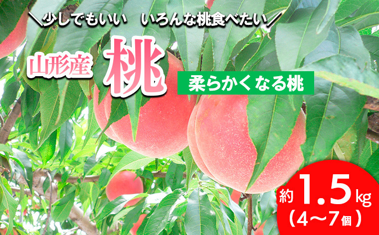 
山形の桃 [柔らかめ] 約1.5kg(4～7個) 【令和6年産先行予約】FU23-358 フルーツ くだもの 果物 山形 山形県 山形市 2024年産
