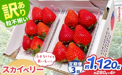 【先行予約】【定期3回】訳あり スカイベリー 約  280g × 4P｜【栃木県共通返礼品】いちご イチゴ 苺 訳あり 不揃い 粒 栃木県 那珂川町 送料無料