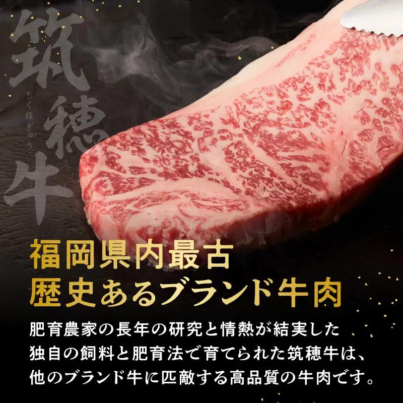 森本牧場産 本格黒毛和牛 筑穂牛 サーロインステーキ 250g×2枚【E-099】