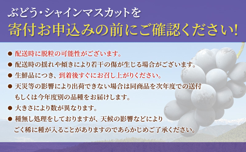ナガノパープル 信州上田産金剛寺ぶどう 約1kg 2～3房 ぶど