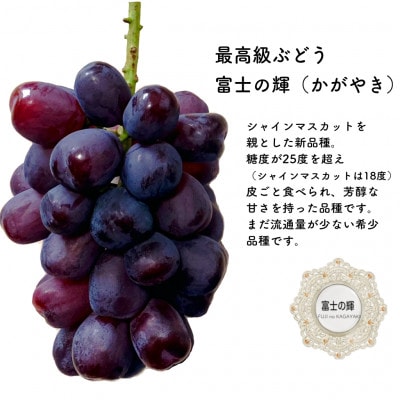 富士の輝とシャインマスカット　1.2kg【配送不可地域：離島】