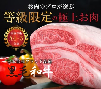 国産！！ A4～A5ランク黒毛和牛切り落とし１㎏（５００g×２パック）