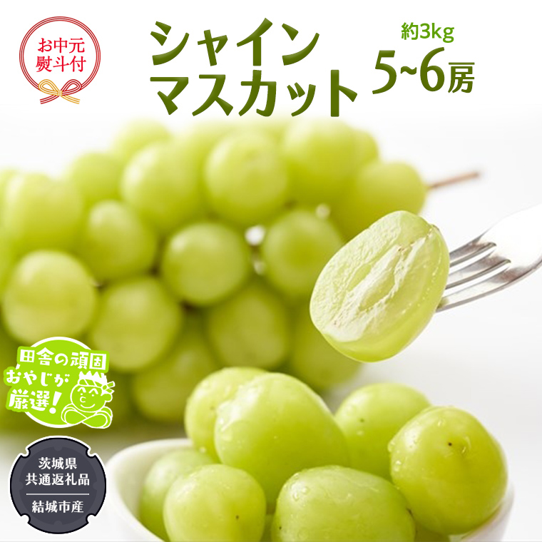 【お中元 熨斗付】 シャインマスカット 約3kg 5〜6房 【2026年7月より発送開始】 （茨城県共通返礼品 [ぶどう]：結城市産） 田舎の頑固おやじが厳選！  マスカット 種なし 高糖度 ギフト お中元 甘い 美味しい フルーツ [BI264-NT]