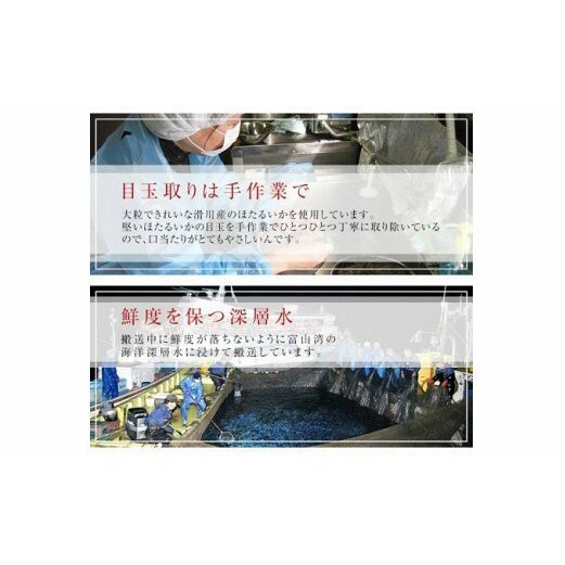 越中氷見屋　ホタルイカ沖漬け2種・素干し・魚醤干し（A3セット）　【魚貝類・加工食品】_イメージ5