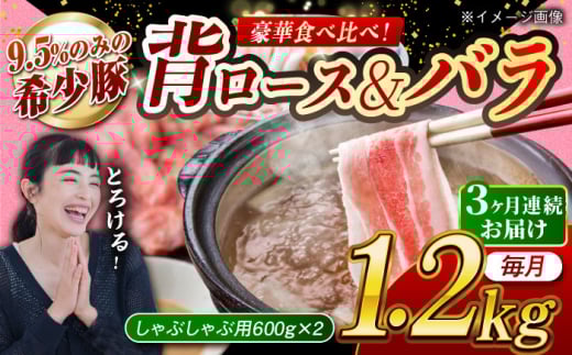【月1回約1.2kg×3回定期便】大西海SPF豚 背ロース＆バラ（しゃぶしゃぶ用）計約3.6kg 長崎県/長崎県農協直販 [42ZZAA109]