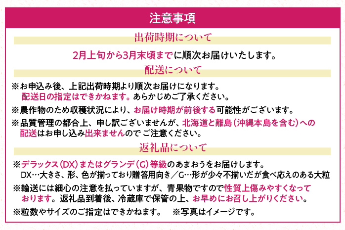 【春】あまおう 約1000g いちご 苺 果物 冷蔵 送料無料 イチゴ ※北海道・沖縄・離島は配送不可 大木町産 南国フルーツ CO003