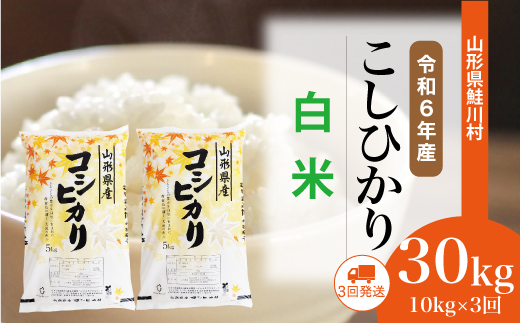 ＜令和6年産米＞ 約2週間でお届け開始　コシヒカリ【白米】30kg定期便 (10kg×3回)　鮭川村