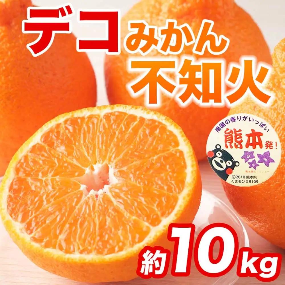 先行予約 不知火 デコみかん 約10㎏（24～48玉）【2027年2月上旬～2027年4月中旬発送予定】