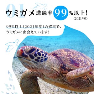 ウミガメ シュノーケリング（ 2名様 ） A051-001 アクティビティ 体験型 ウミガメシュノーケリング 2名分 水中写真 ガイド付 完全貸切 OCEANZ-オーシャンズ ふるさと納税 鹿児島県 