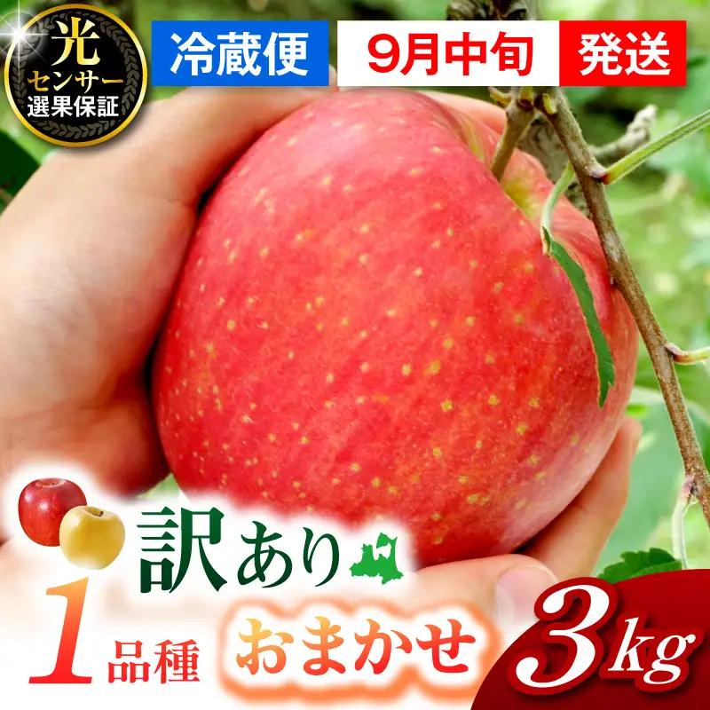 【2026年9月中旬発送】【訳あり】りんご 約3kg  1品種おまかせ 青森産 りんご
