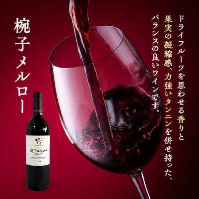 ふるさと納税 上田市 限定 ワイン 椀子ヴィンヤードを味わう定番 セット 2本[54040428] |  | 01