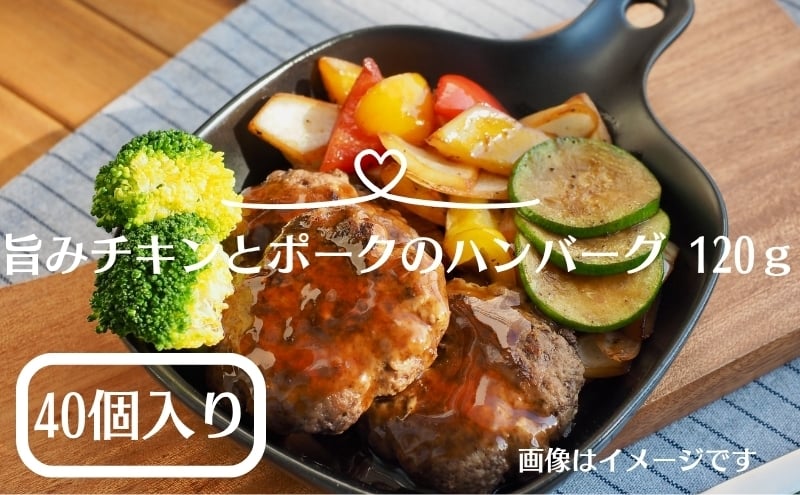 
            旨みチキンとポークのハンバーグ 120ｇ×４０個（冷凍直送）
          