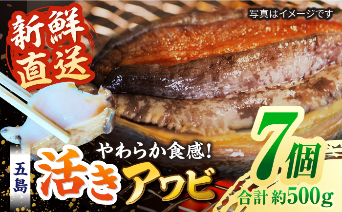 【日付指定必須】【配送エリア限定】五島産養殖活きアワビ 7個セット 約500g あわび 鮑 五島市/（有）都工業 [PEX004]