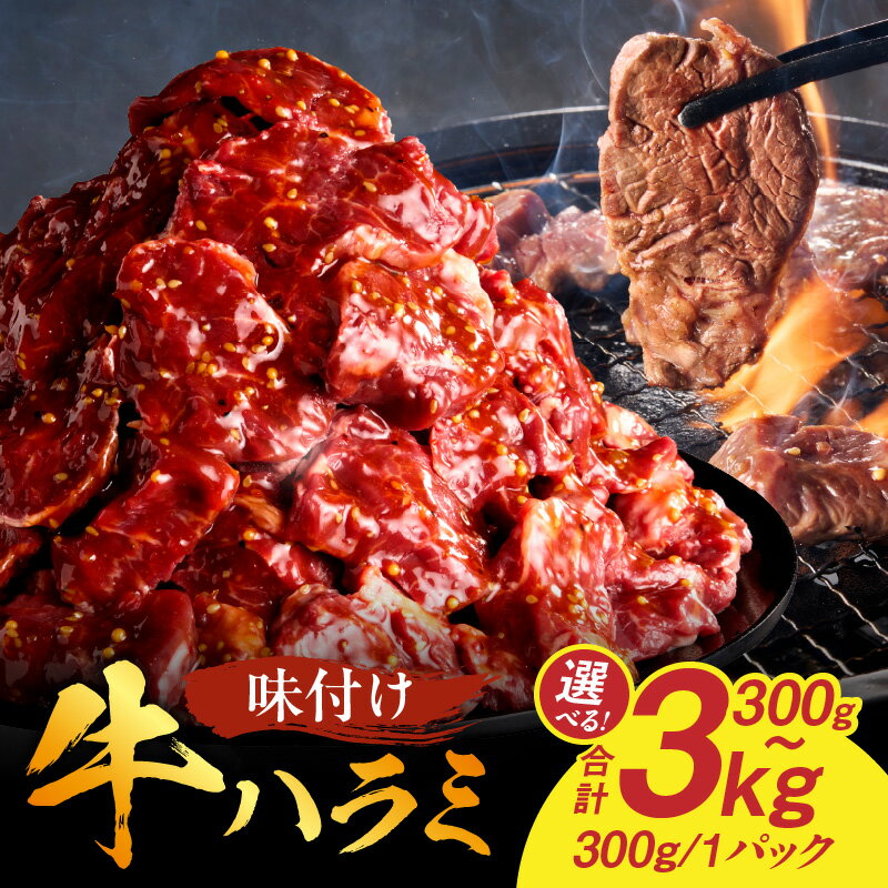 【ふるさと納税】【食肉総合卸 丸正】牛ハラミ味付け 容量選択可 希少部位 焼肉 焼き肉 厚切り やわらか バーベキュー BBQ用 牛横隔膜 タレ漬け おつまみ おかず 冷凍 ご家庭用 業務用 お取り寄せグルメ 愛知県 小牧市 送料無料