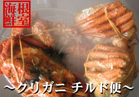 【北海道根室産】クリガニ計2kg詰め合わせ(チルド便) A-57018