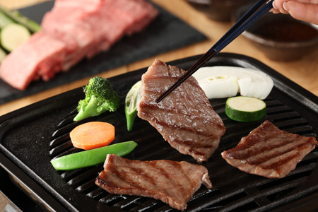 飛騨牛焼肉セット 600g（もも焼肉 300g・かた焼肉 300g）【22-27】