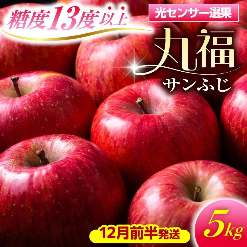 【2026年12月前半発送】 りんご 約5kg 丸福 サンふじ 青森県産 りんご