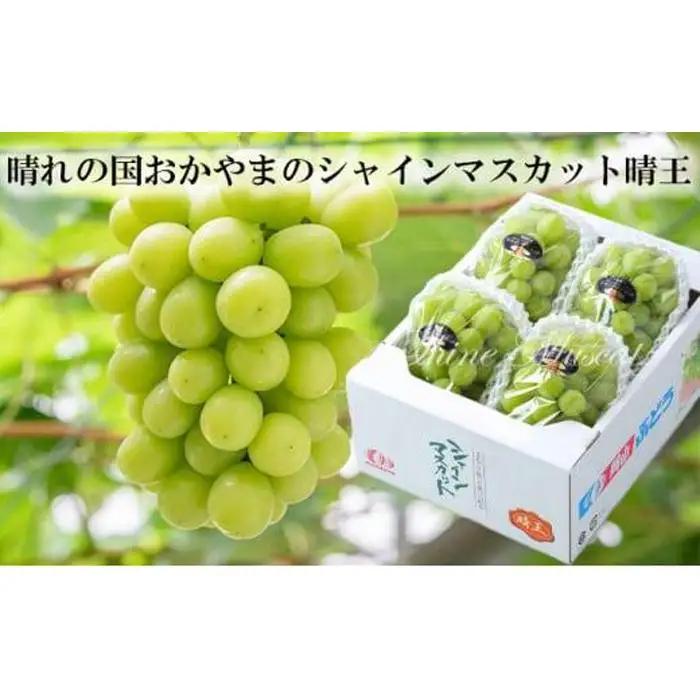 岡山県産 ぶどう 2026年発送 シャインマスカット 晴王 約2kg 3～6房 種無し 葡萄 フルーツ 果物 ギフト | シャインマスカット