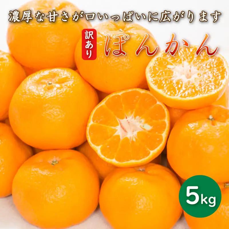 【先行予約】訳あり 減農薬 ポンカン 5kg 愛南フルーツ 【2027年1月中旬～発送開始】