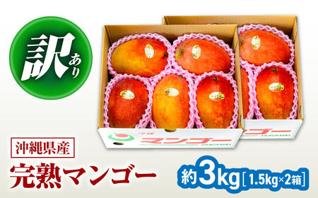 マンゴー 【2026年発送】訳あり 完熟マンゴー 約3kg (3-6玉×2箱) BCAA003