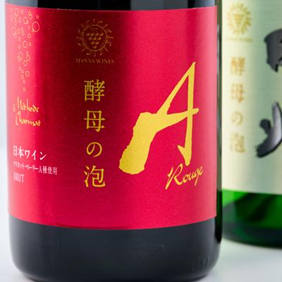 ふるさと納税 山梨県 山梨県産ベーリーA種と甲州種から造った辛口スパークリングワイン2本セット【マンズワイン】 |  | 01